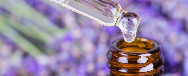 Essential oils are linked to the development of 'man boobs', scientists warn