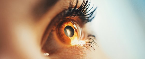 Doctors have restored the sight of two people in a monumental world first