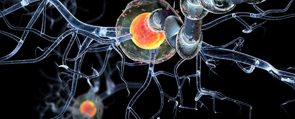 A new study shows why you really need to look after your brain cells