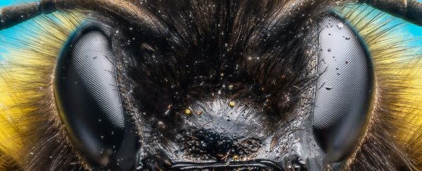 The deadliest animals in the US probably aren't what you think they are