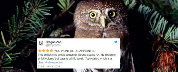 Zoos are leaving animals delightful Amazon-style reviews and it's too much for our hearts