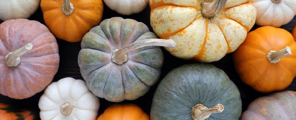 In a medical first, pumpkin soup and a side of squash caused these women to lose their hair