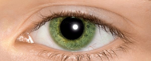 This simple optical illusion could help diagnose autism