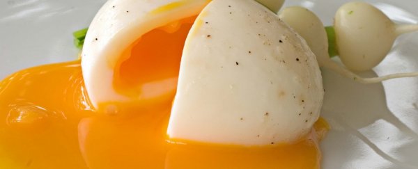 How to perfectly boil an egg every single time, according to a quantum physicist