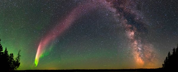 Everyone, meet 'Steve' – a weird type of aurora we've never seen before