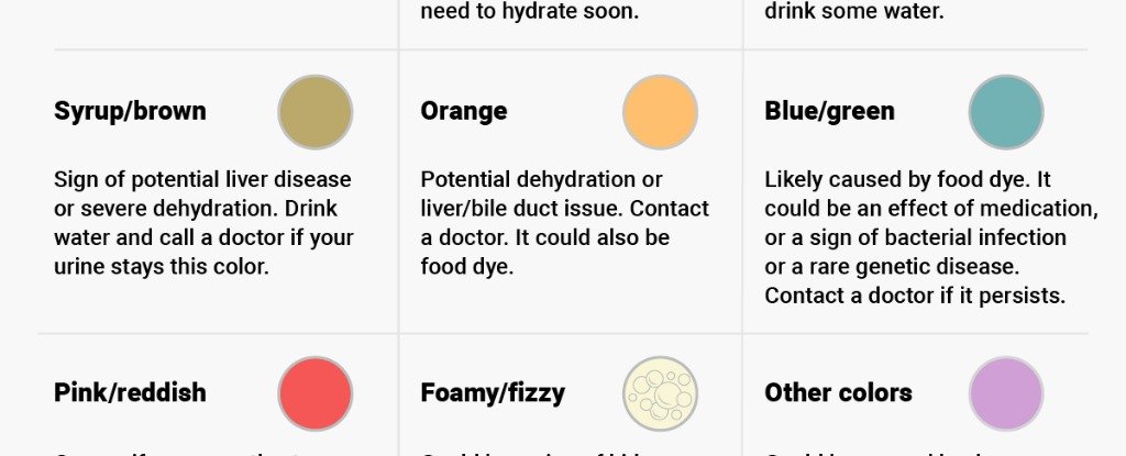 Urine Sample Colour Chart