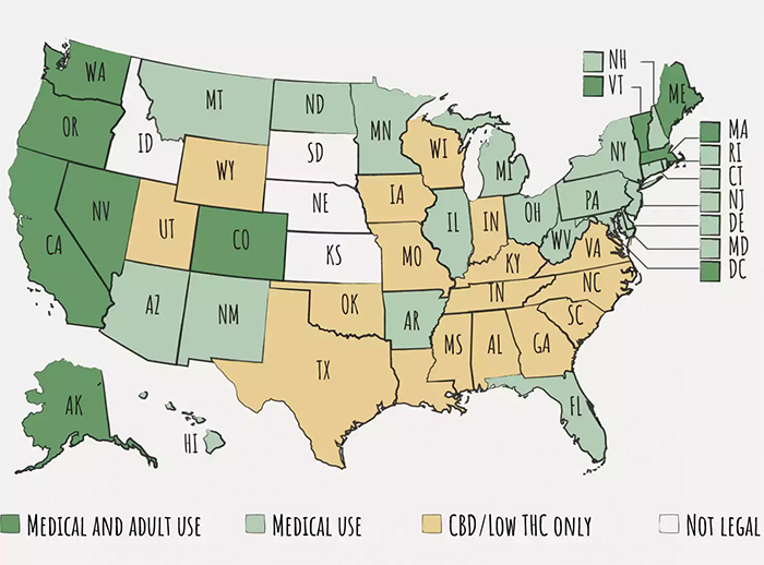 cannabis quiz map