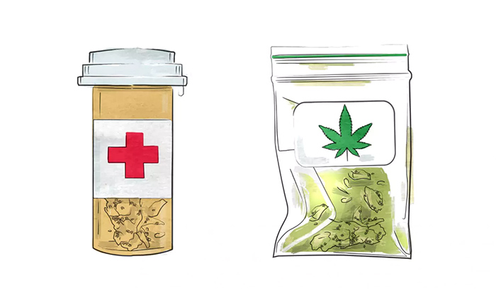cannabis quiz medicine