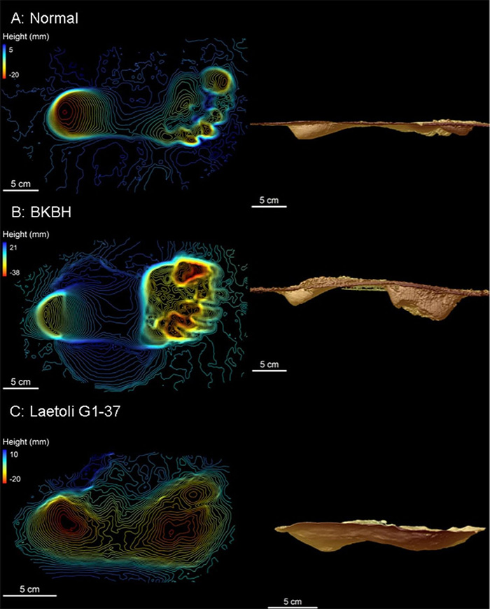 footprints human ancestors