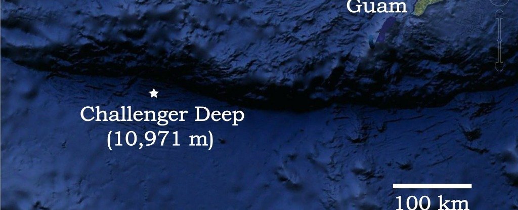 The First Audio Recordings From The Bottom Of The Mariana Trench