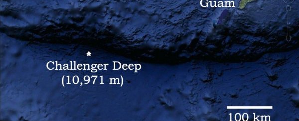The first audio recordings from the bottom of the Mariana Trench are creepy as hell