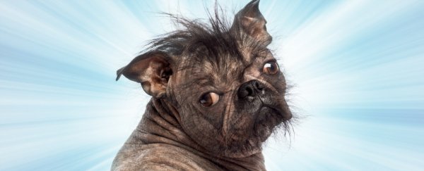 There's a benefit to being "very unattractive", according to scientists