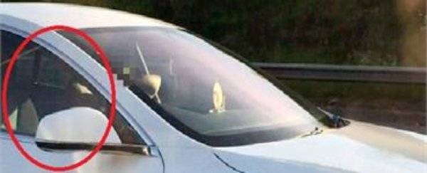 Tesla owner caught relaxing in the passenger seat on a busy freeway