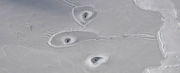 Even NASA isn't sure what's making these bizarre circles in the Arctic