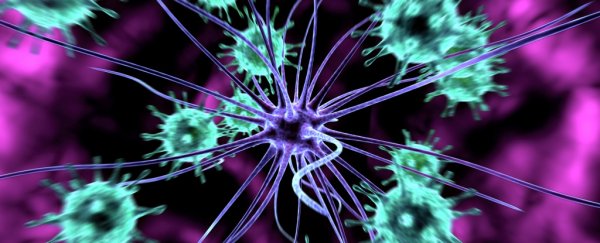 Immune cells we thought were 'useless' are actually a weapon against infections like HIV