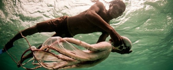 These 'sea nomads' are the first known humans to have a genetic adaptation to diving