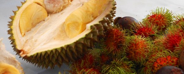A university library has been evacuated because of a really stinky fruit
