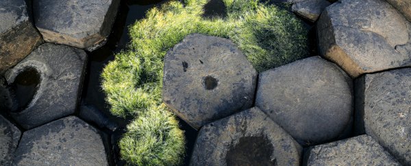 The mystery of the strange 'giant's causeway' has been solved