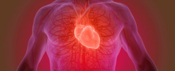 Do we really only get a certain number of heartbeats in a lifetime? Here's what science says