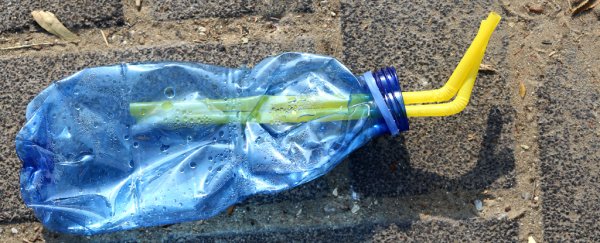 Scientists have accidentally created a mutant enzyme that eats plastic waste