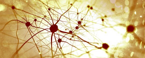 There's a link between autism and epilepsy, and scientists might have figured it out