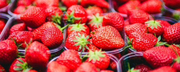 CRISPR-edited food is coming to our plates and it won't be labelled as GMO