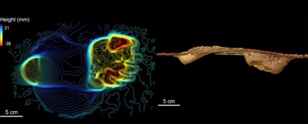 Human ancestors walked on two legs at least 3.6 million years ago