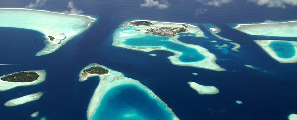 The US military funded a study on climate change, and got unnerving results