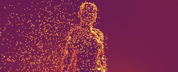 Here's how many cells in your body aren't actually human