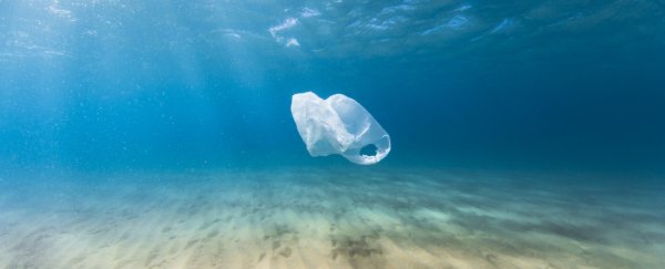 A unique plastic collecting device is about to take on the Great Pacific Garbage Patch