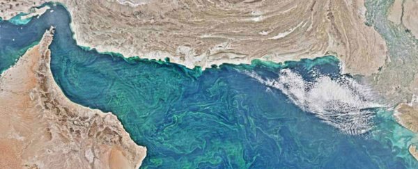 The Arabian Sea's "dead zone" is bigger than Florida, and it's still growing