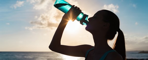 This is the best type of water bottle you should be using, according to science