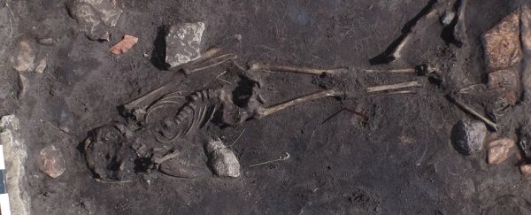 Archaeologists have found a mysterious bloody massacre from 5th century Sweden