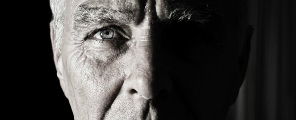 A new retinal implant with stem cells could stop age-related blindness