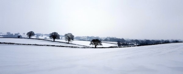 The ground beneath this tiny English village is rising up, and nobody knows why
