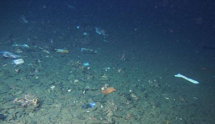 A Plastic Bag Was Found At The Deepest Point On Earth And We