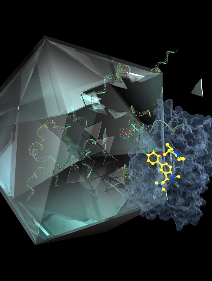 077 molecule common cold 1