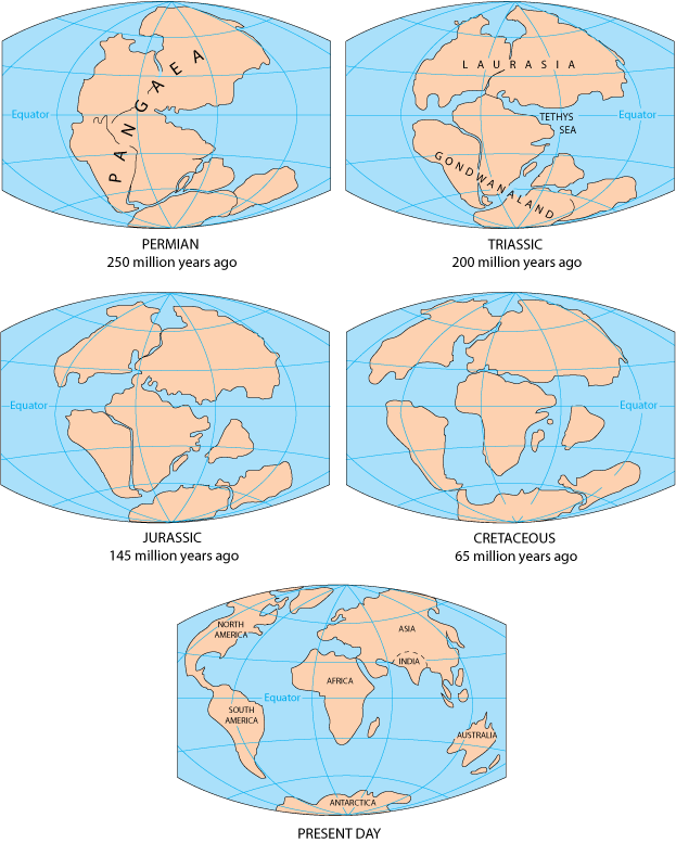 Fig2 5globes