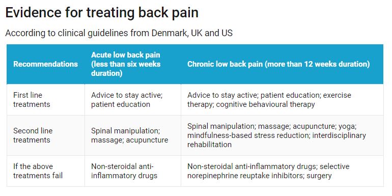 exercise spreadsheet back pain