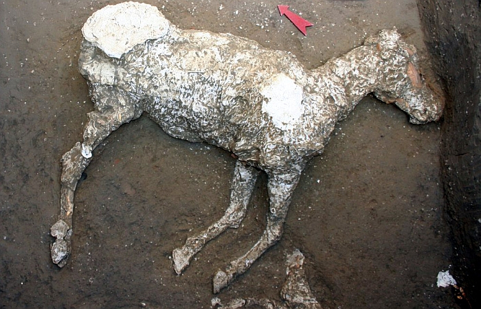 plaster horse 3