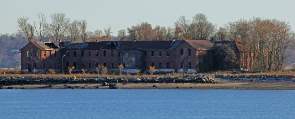 New York City's crumbling 'Island of the Dead' is unearthing its nameless skeletons