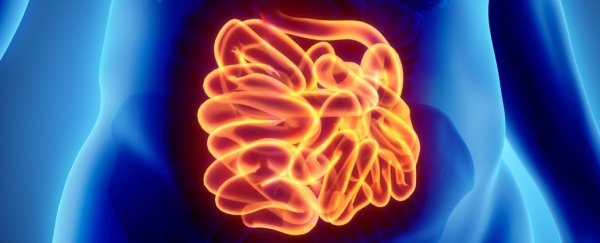 You have a 'second brain', and we now know how it makes you poop
