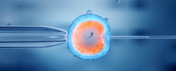 Scientists have created artificial embryos that are so lifelike, they initiate pregnancy in mice