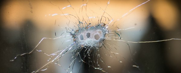 Gun owners and non-owners actually agree more than you'd think, study shows