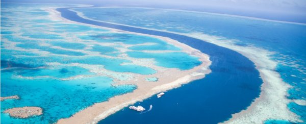 Australia's plan to save the Great Barrier Reef is a Wolf in Sheep's Clothing