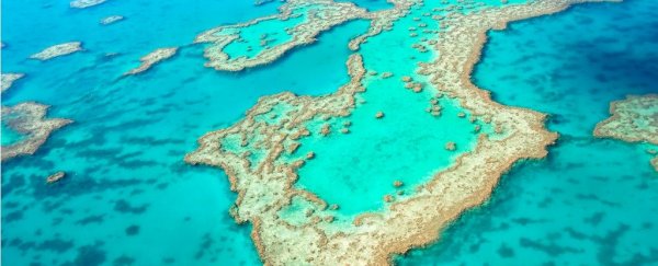 A Tiny Foundation Got $444 Million to Save The Great Barrier Reef, And No One Can Figure Out Why
