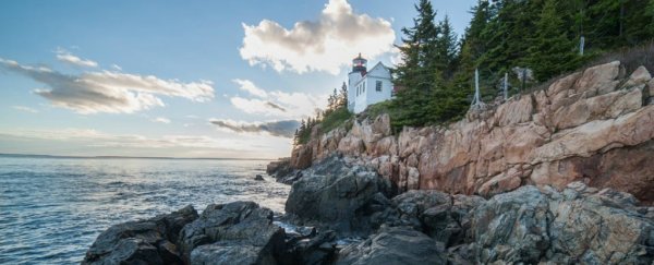 Ozone pollution in US national parks is nearly the same as in large cities
