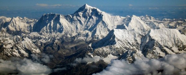 Mount Everest isn't really the tallest mountain on Earth