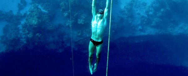Your willingness to take risks has a genetic basis, and it could be influencing you more than you know