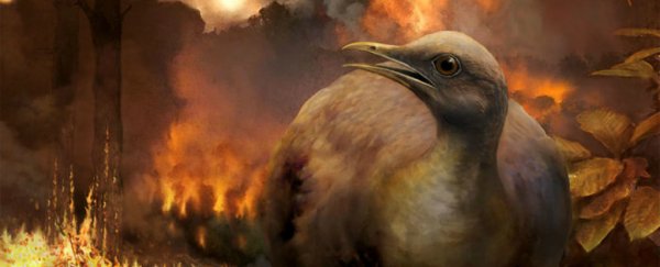 The few birds that survived the dinosaur extinction had an unexpected advantage
